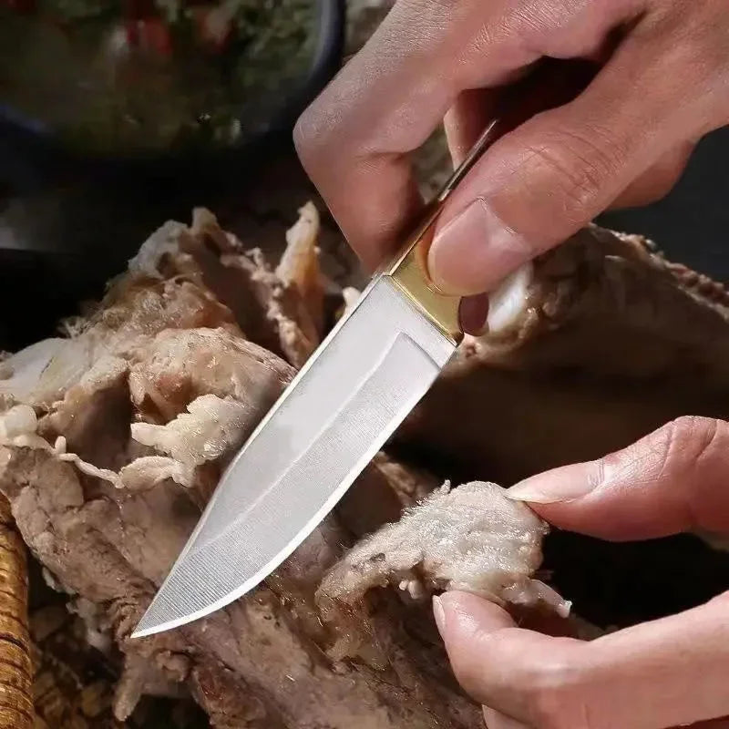 Couteau Polyvalent - Couteau à Fruits, Désossage, EDC Portable, Couteau de Poche, BBQ & Survie