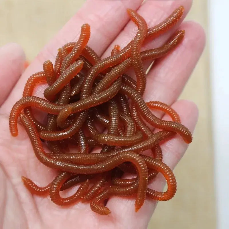 BURLE Leurres Souples Imitation Ver de Terre - Odeur Réaliste, Appâts Artificiels pour Pêche aux Carnassiers