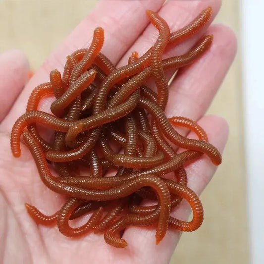 BURLE Leurres Souples Imitation Ver de Terre - Odeur Réaliste, Appâts Artificiels pour Pêche aux Carnassiers
